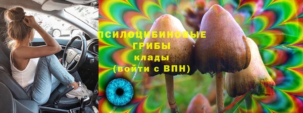 марки lsd Касимов
