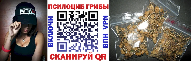 Купить закладки  Саки  Галлюциногенные грибы GOLDEN TEACHER 